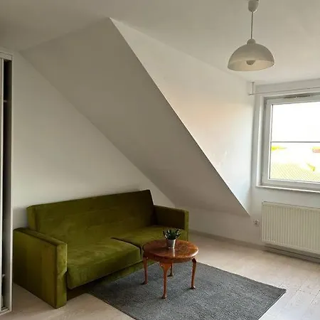 公寓 Penthouse With Kazimierz View 克拉科夫